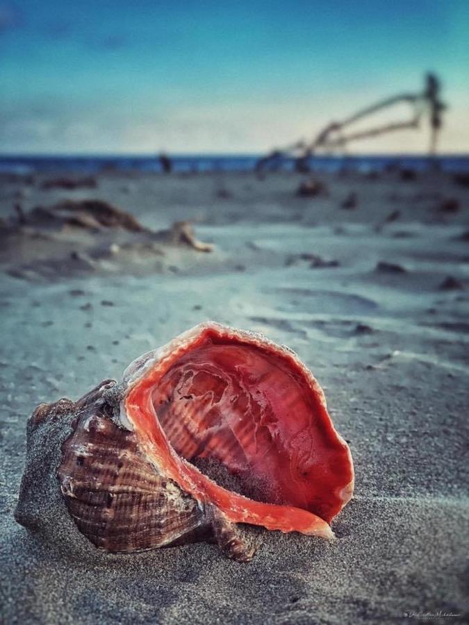 Wave 2 Mamaia Prima Linie Vedere La Mare 120Mp Navodari Luaran gambar